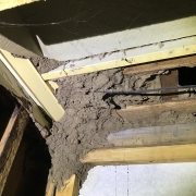 Concealed Termite Damage