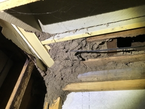 Concealed Termite Damage